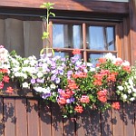 Hotel in Windhagen-Mitte