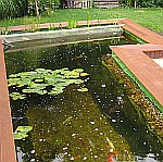 Terrasse und Teich in Windhagen-Hohn